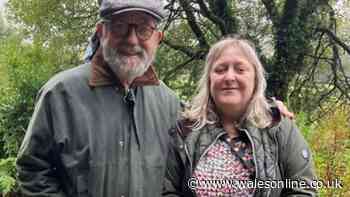 Married couple lose positions as councillors after failing to attend any meetings for six months