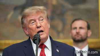 Trump plays down bond market fears, pushes interest rate cuts