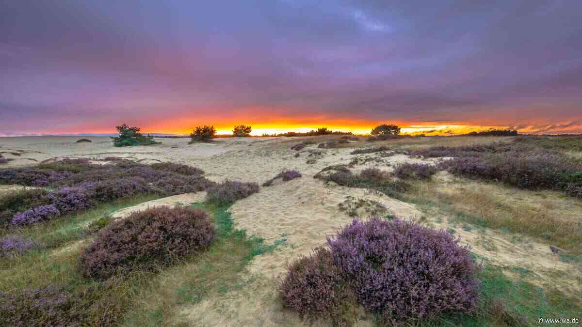 Der älteste Nationalpark der Niederlande ist perfekt für einen Ausflug in die Natur
