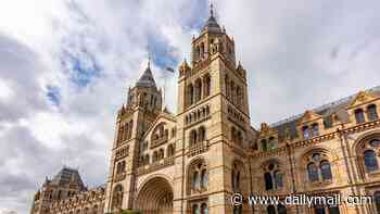 Natural History Museum is reopening its hidden gallery... that has been closed for 83 years