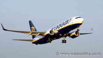 Pilot says every passenger should bring one item of clothing onto planes