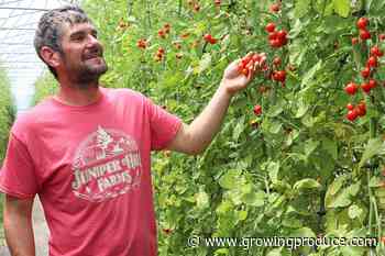 Seeing Is Believing: There’s More Than One Way To Build a Successful Farm