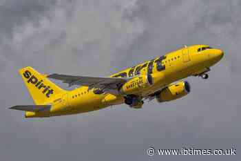 Flight Attendants' Union Objects to Google's Purchase of Spirit Airlines' Employee Data Over Privacy Concerns