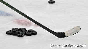 Alexander Zharovsky: Scouts across the league really like him