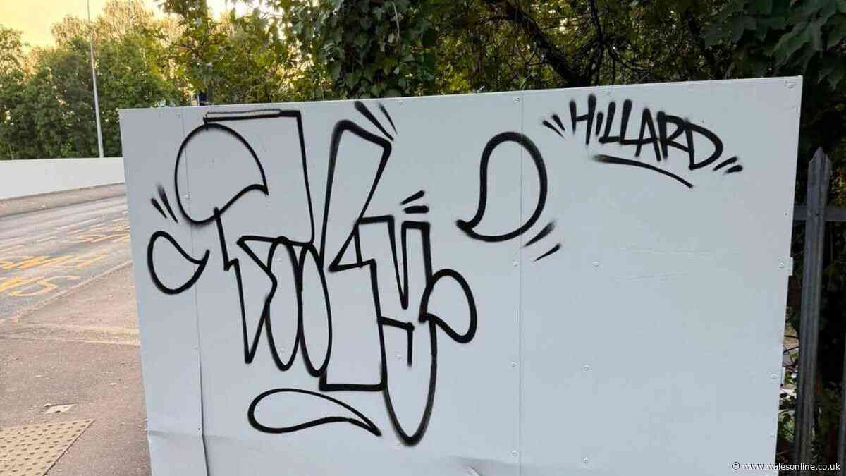 Vandals graffiti freshly-painted railway bridge