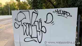 Vandals graffiti freshly-painted railway bridge