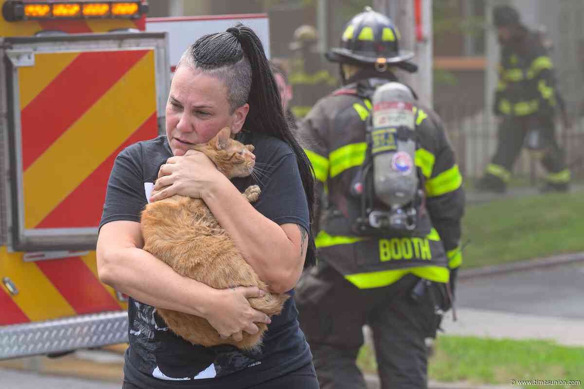 Photos: Firefighters rescue cats from burning home in Albany
