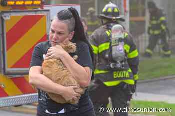 Photos: Firefighters rescue cats from burning home in Albany