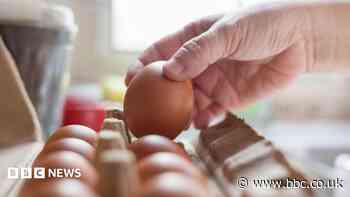 Salmonella outbreak: What we know so far