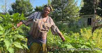 Community garden leaves lasting impact for metro Atlanta refugees