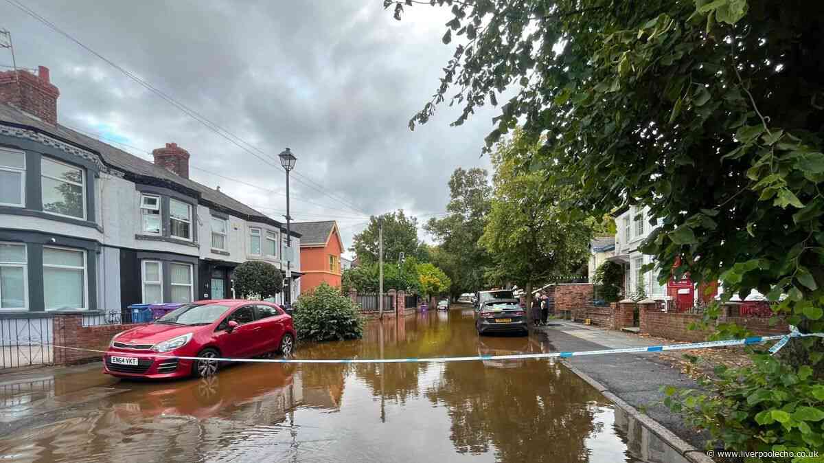 Woman heard 'almighty scream' after burst pipe sends floodwater into home