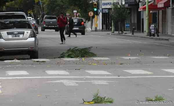Ráfagas de hasta 70km/h: alertas por vientos para Bahía Blanca