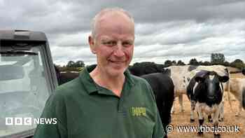 Farmers scared about bluetongue vaccine shortage