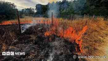 Nature reserve fire believed to be arson