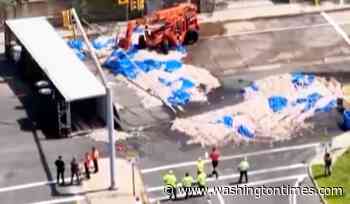 Truckload of squid spills into the street in Rhode Island, creating a smelly mess in the summer heat