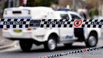 Another teenage boy sexual assault scandal rocks Sydney - as three boys are charged with vile offences