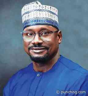 Nigeria can turn electricity deficit into investment opportunity – REA MD