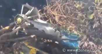 5 Americans among 7 killed in luxury safari helicopter crash in Kenya