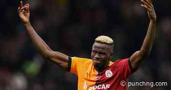 Alderweireld charges Spurs to hijack Osimhen deal
