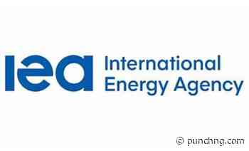 IEA: LPG crisis threatens Africa’s clean cooking progress