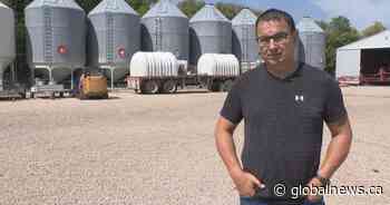 Manitoba farmers harvest crops while reflecting on a ‘volatile’ year