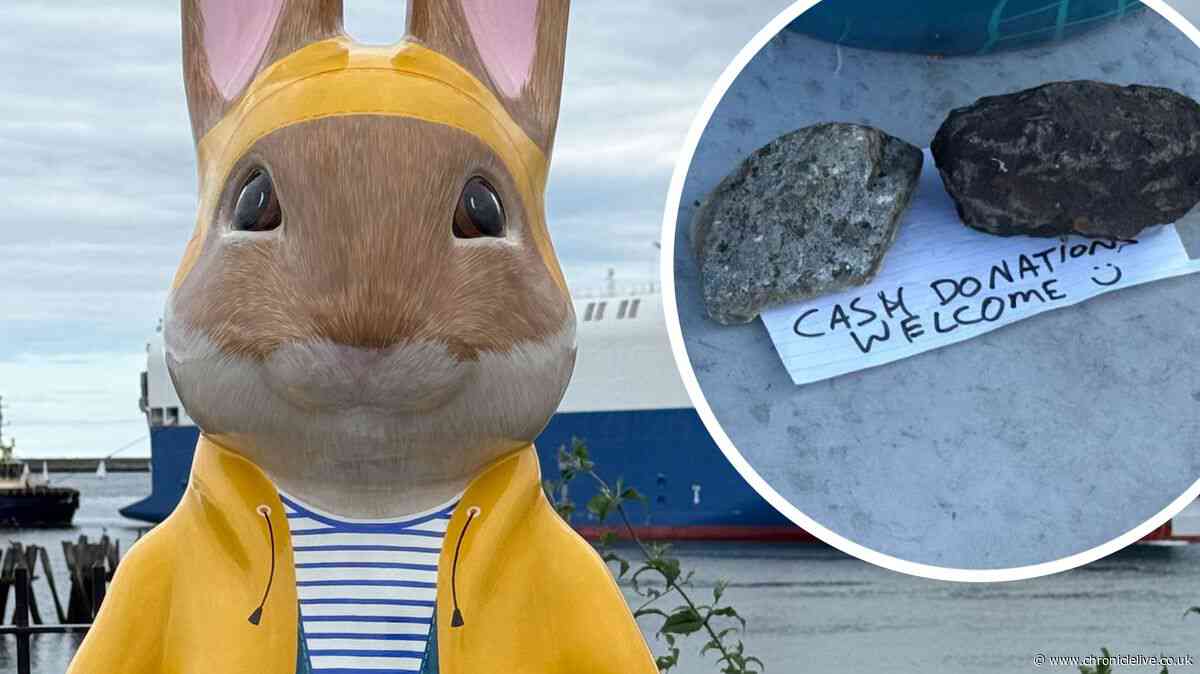 Warning after fake donation pot found on Peter Rabbit Tales on the Tyne trail