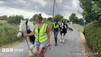 Horse road incidents top 1,500 in South East since 2016
