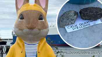 Warning after fake donation pot found on Peter Rabbit Tales on the Tyne trail