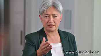 Penny Wong launches attack on Israel after no charges laid over the death of an Aussie volunteer in Gaza
