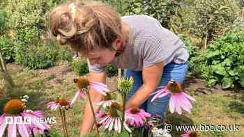 Land matchers bring together owners and growers