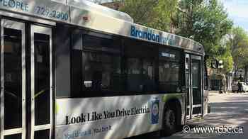 'Fantastic opportunity for students' as Brandon set to introduce free transit for youth