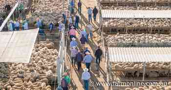 Are US producers asking the wrong question about Australian lamb imports?