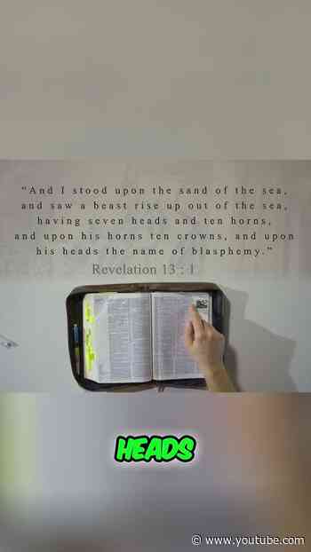 Have You Seen This in Revelation 13?