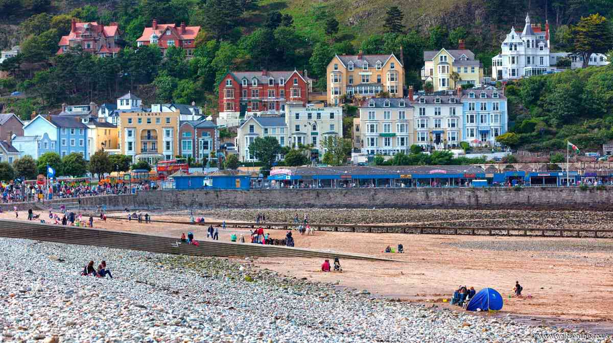 Charming Welsh seaside town also happens to be one of the UK's most dog-friendly