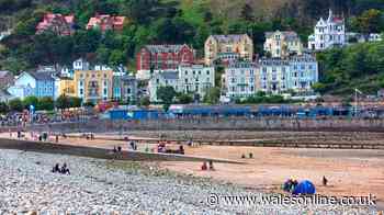 Charming Welsh seaside town also happens to be one of the UK's most dog-friendly