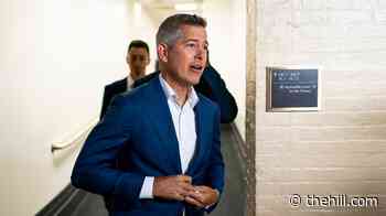 Harvard figured out how to 'corrupt' young girls' minds, Sean Duffy tells daughter