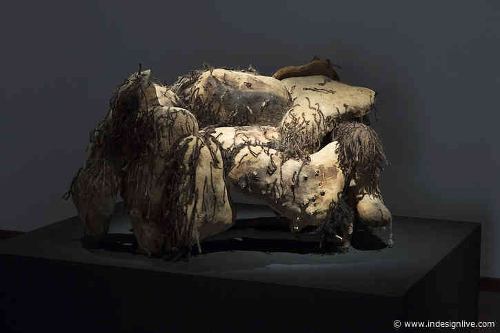 “A journey into a whole new material world”: Plant Life at the NGV