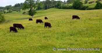 Mad cow case in Scotland is a reminder of what keeps our beef industry safe