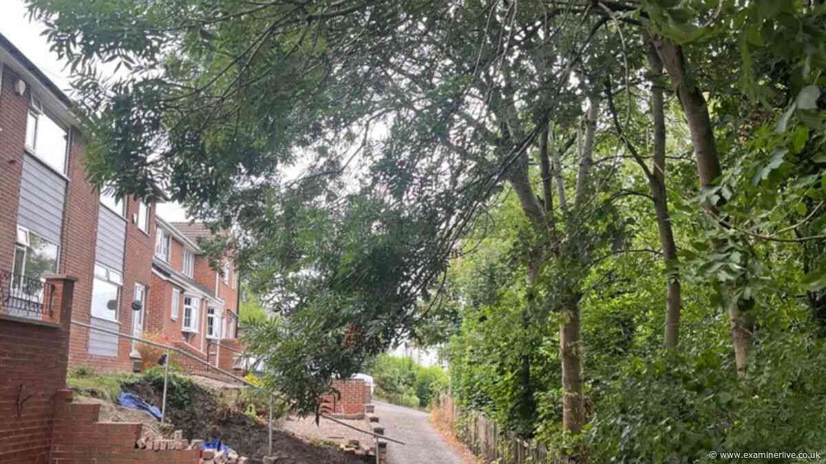 Fear Kirklees homes will 'burn to cinders' as overhanging trees 'doom' their homes