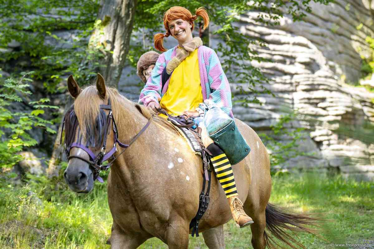 Von Weinfest bis Motorradtreffen: Sechs Tipps fürs Wochenende im Erzgebirge