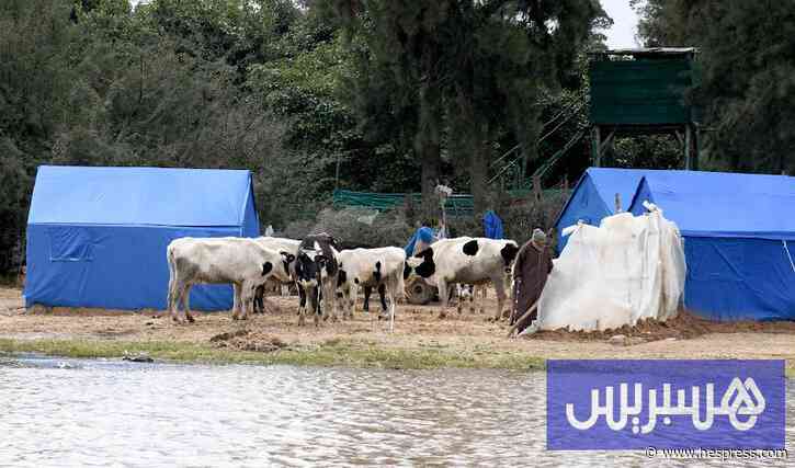 صيف ما بعد الفيضانات .. تحرك استباقي يحاصر البعوض بمنطقة الغرب