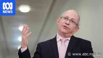 Israeli ambassador rejects 'political attacks' on report clearing soldiers in Frankcom killing