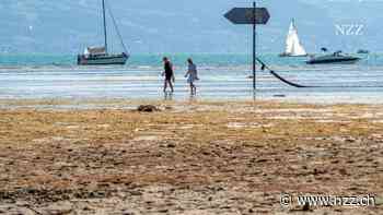 Temperaturrekorde und Dürre: Warum dieser Sommer in Europa so heiss ist