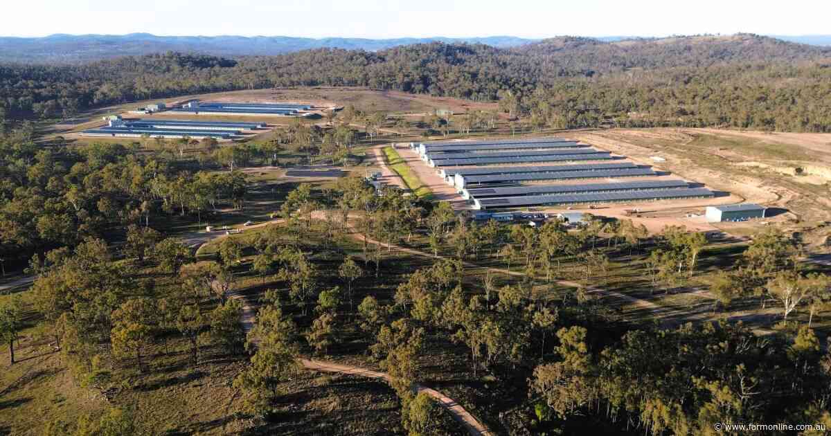 Major poultry enterprise with long-term Inghams contracts hits the market