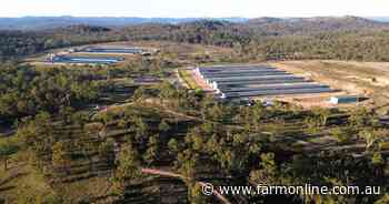 Major poultry enterprise with long-term Inghams contracts hits the market