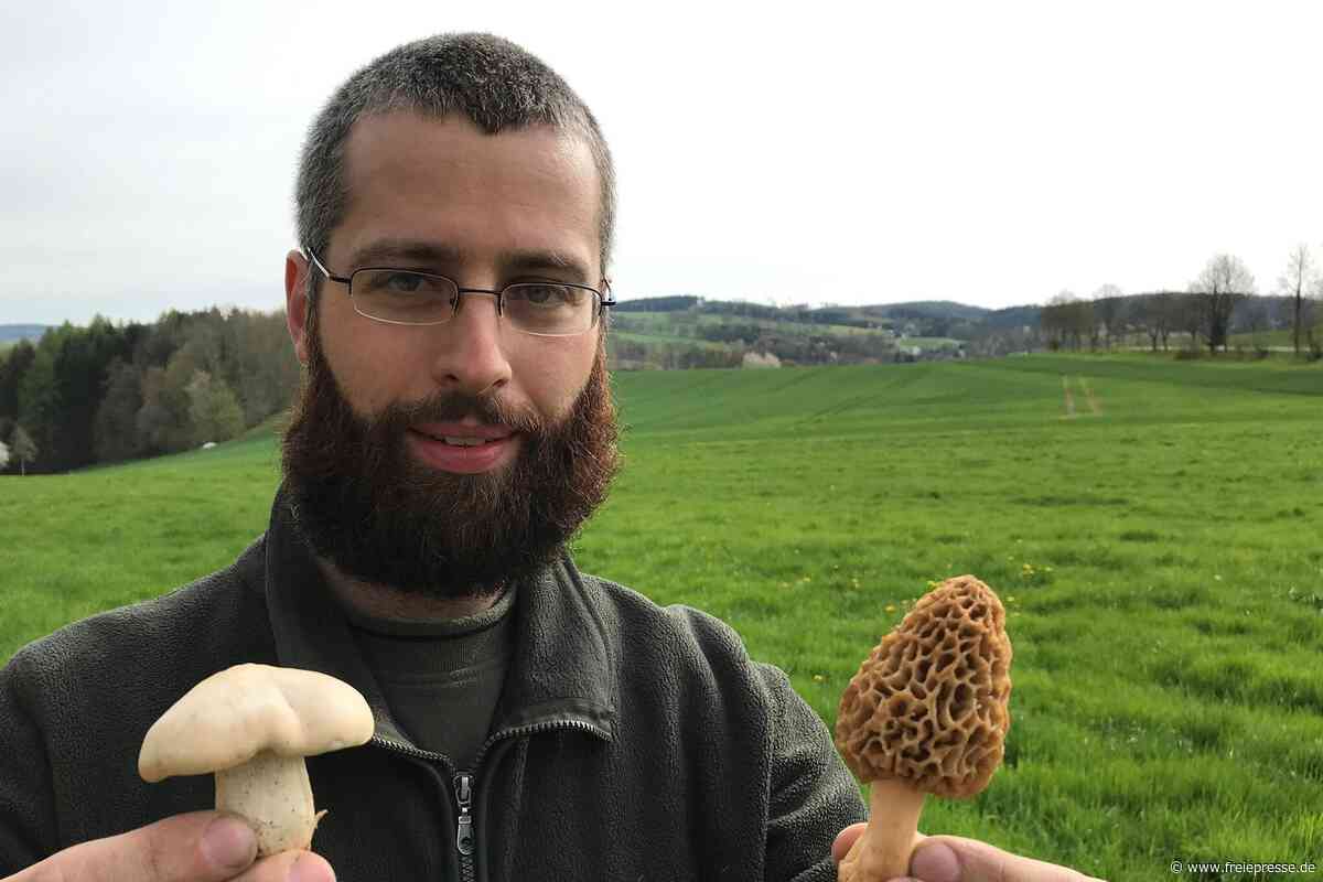 Klimawandel: Gibt es in 20 Jahren im Erzgebirge noch Steinpilze?