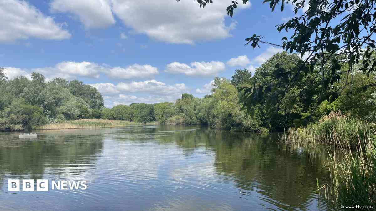Human bones found in park under investigation
