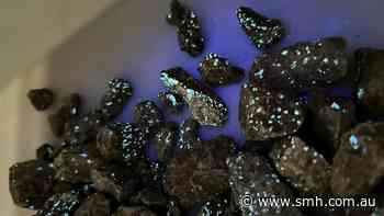 Viking supercharges tungsten feed grade with Nevada sorting trials