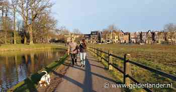 Hierom zijn er in Arnhem vrijwel geen omheinde losloopveldjes voor honden