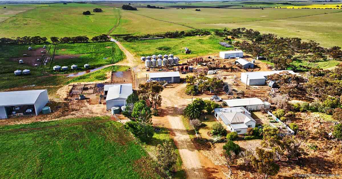 Improved SA mixed farm hits the market with $1000 an acre price